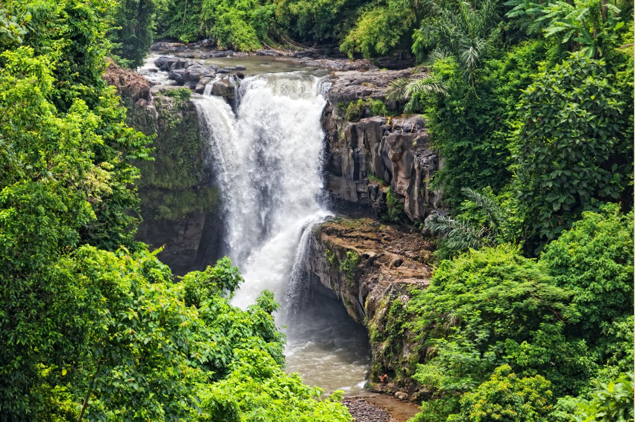 Bali’s Swift Pleasure: Ubud & Seminyak Express - Image 5 | Sky Globals