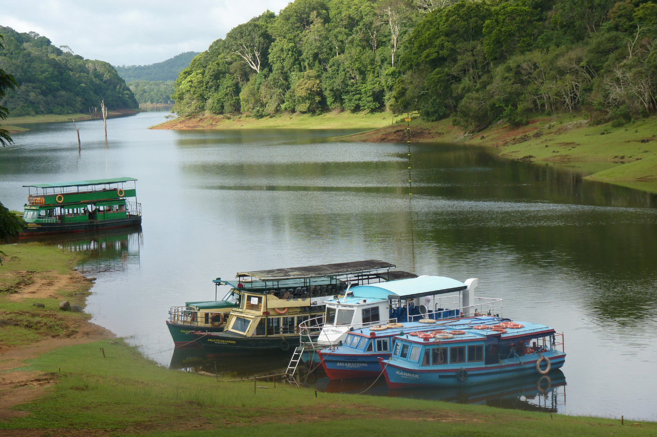 Enchanting Kerala: 5-Day Tour Package - Image 5 | Sky Globals