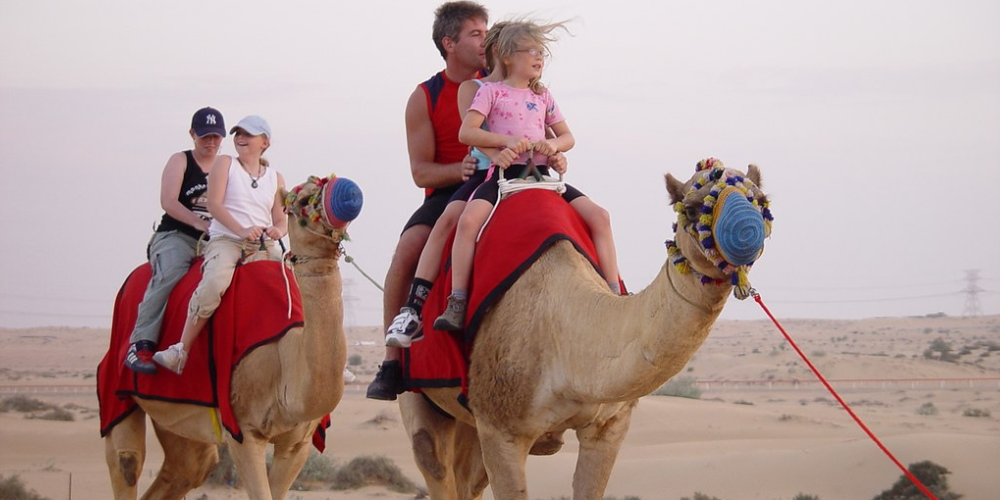 Dubai 3N/4D: Cruise, Burj Khalifa & Safari - Image 8 | Sky Globals