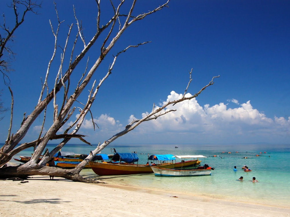 Havelock Island Getaway - Image 5 | Sky Globals