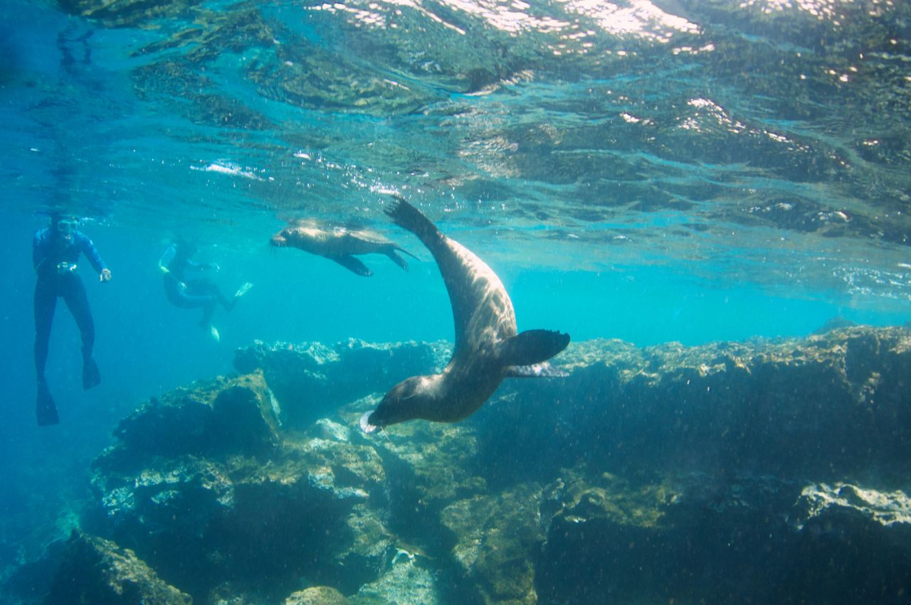 Magnificent Islands: Phuket, Phi Phi & Krabi - Image 2 | Sky Globals