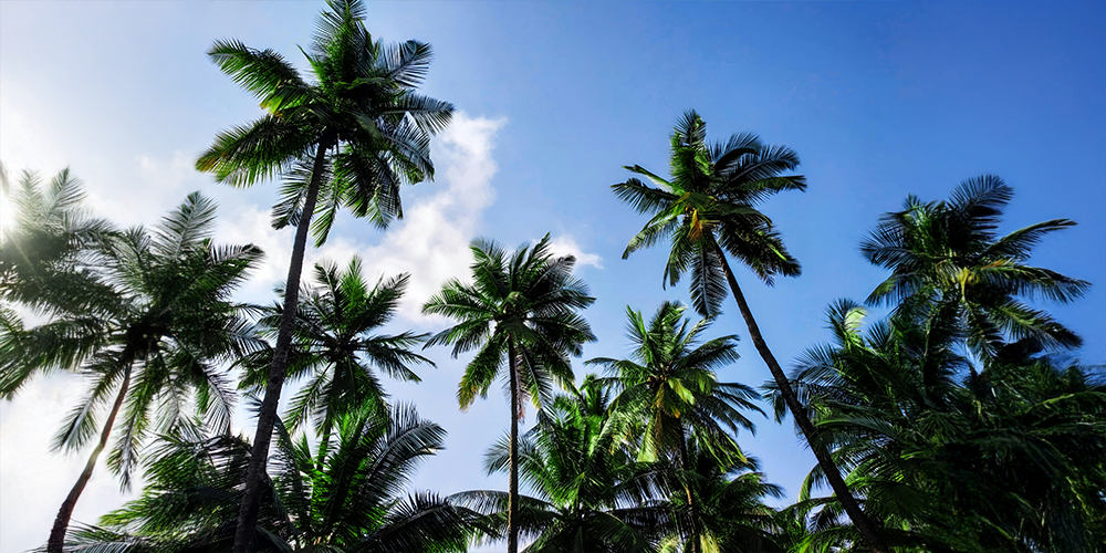 Exciting 5-Day Goa Tour: Beaches, Sightseeing & Adventure!  - Goa Tour Package | Sky Globals