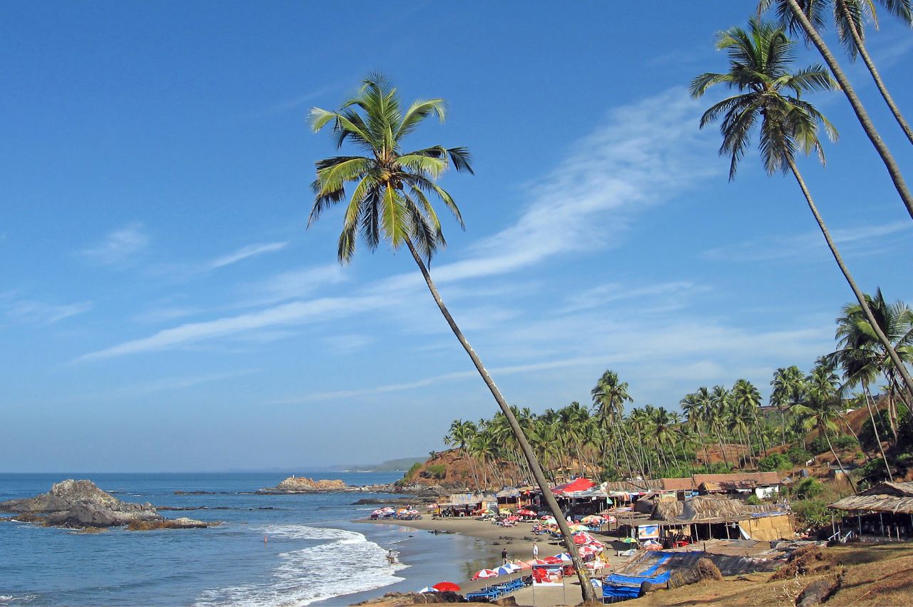 Goa's Fun-Packed Week - Image 3 | Sky Globals