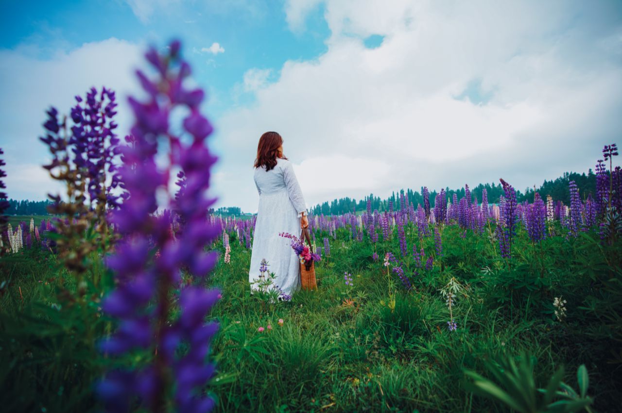 Best of Kashmir - Image 2 | Sky Globals