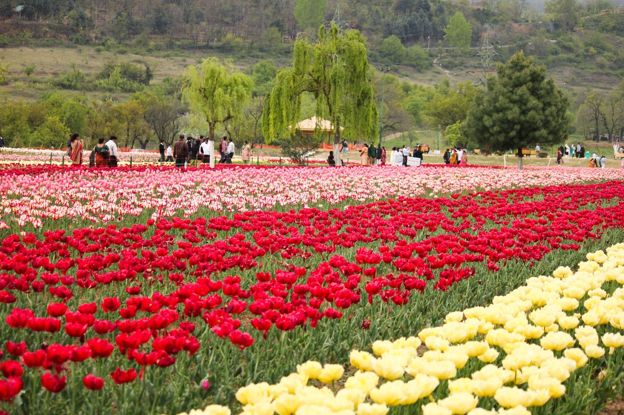 Best of Kashmir - Image 5 | Sky Globals