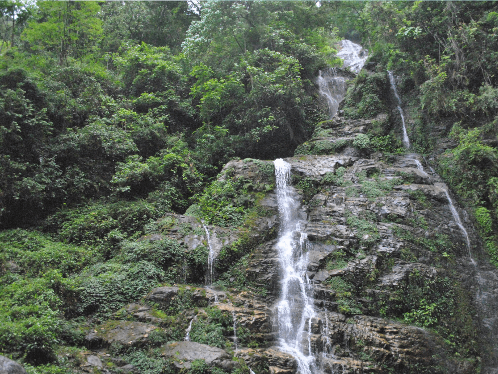 Himalayan Tour: Gangtok to Darjeeling - Image 2 | Sky Globals