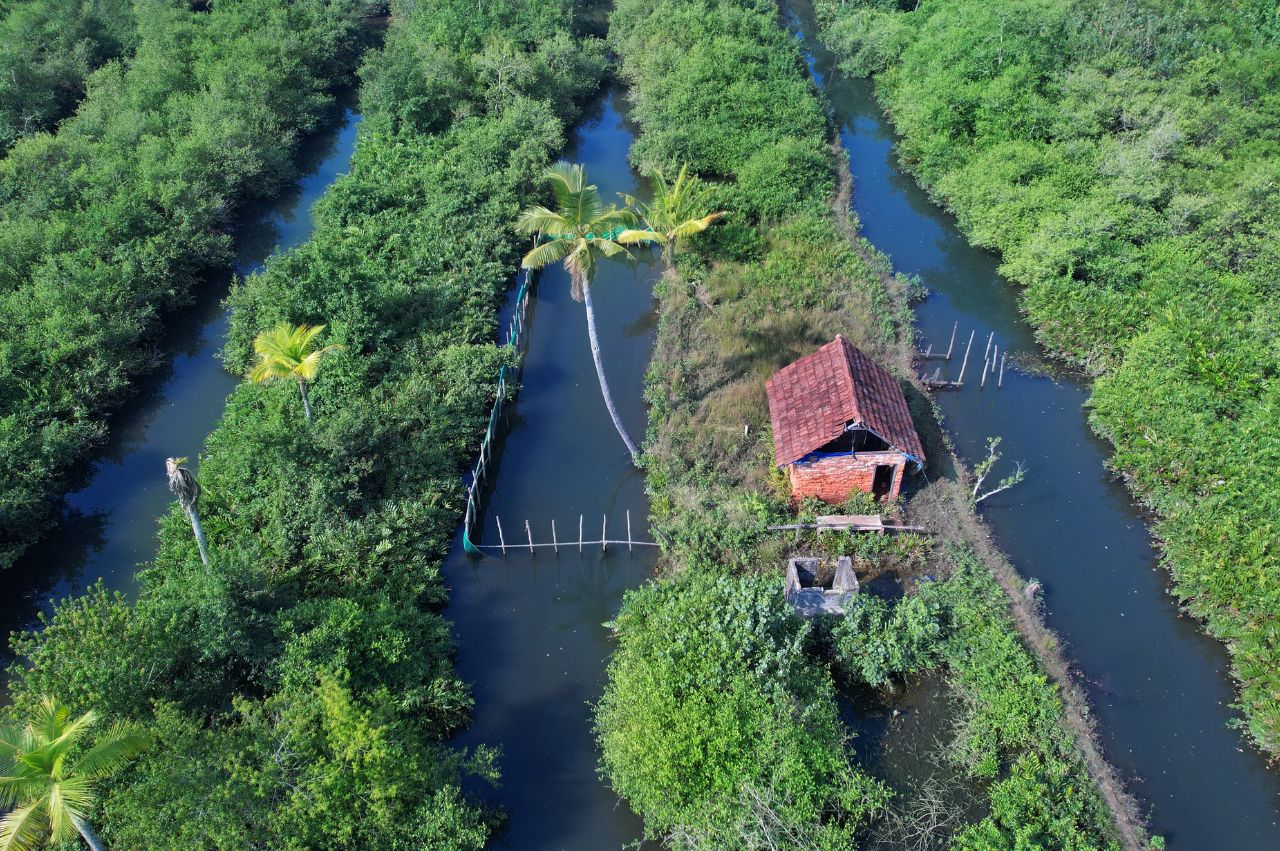 Kerala Honeymoon Package - Image 9 | Sky Globals