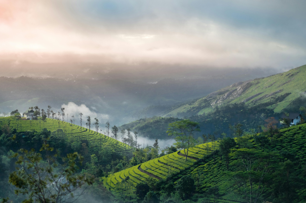 Enchanting Kerala: 5-Day Tour Package - Kerala Tour Package | Sky Globals