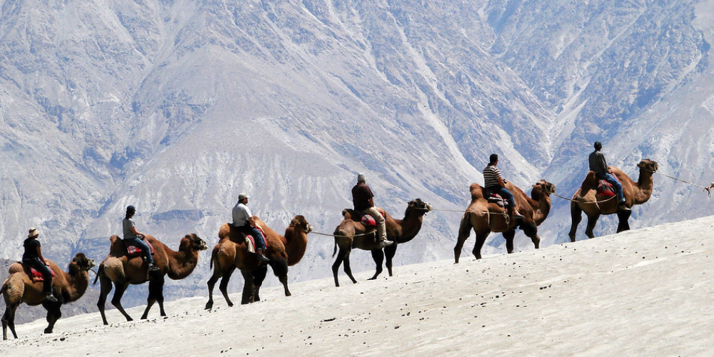 Himalayan Gems: Ladakh & Kashmir - Image 11 | Sky Globals