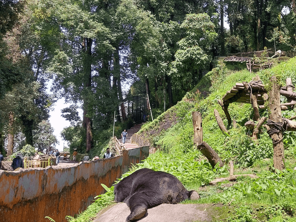 Himalayan Tour: Gangtok to Darjeeling - Image 8 | Sky Globals
