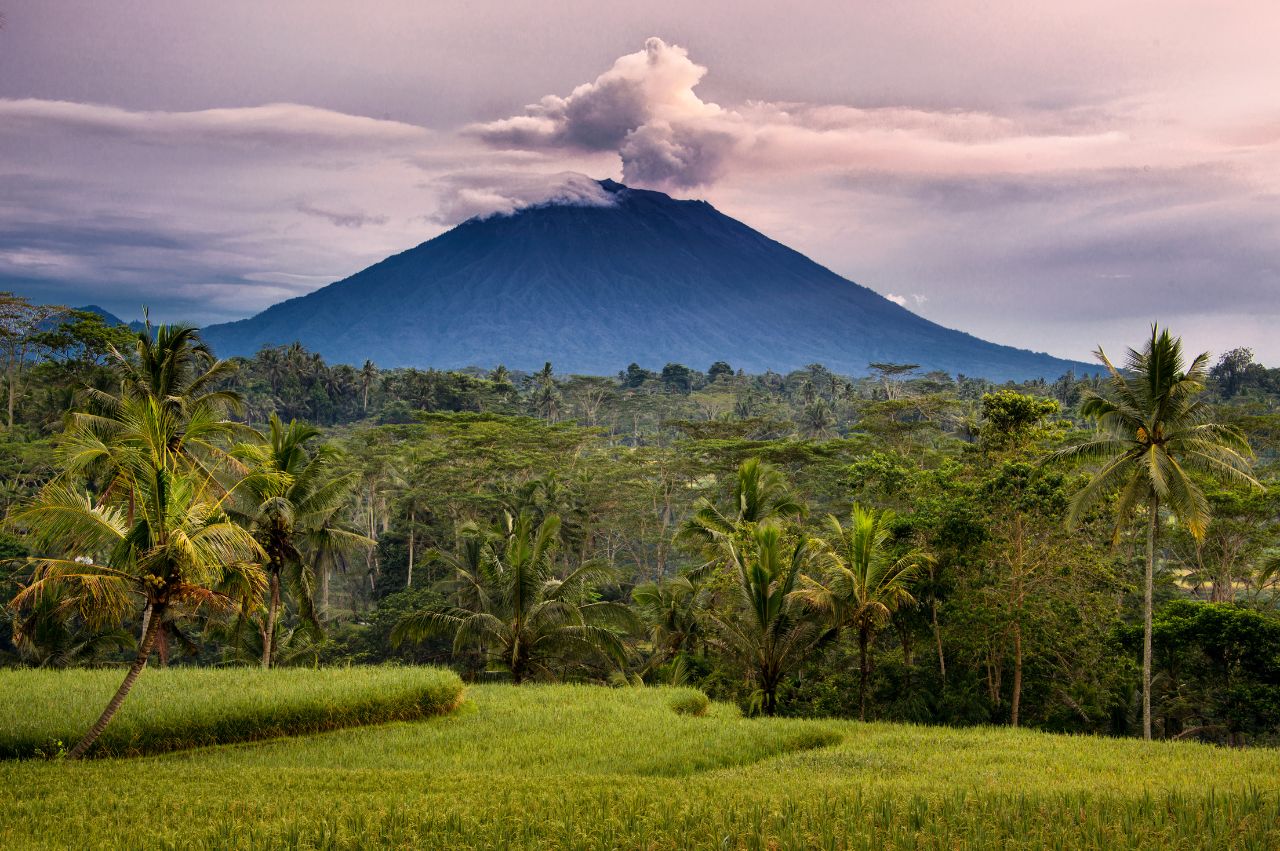 Peaceful Bali: Ubud, Sidemen Valley & Coastal Sanur - Image 4 | Sky Globals