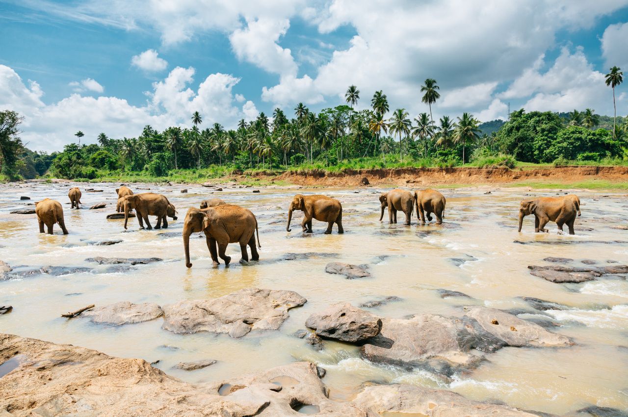 Peaceful Bali: Ubud, Sidemen Valley & Coastal Sanur - Image 5 | Sky Globals