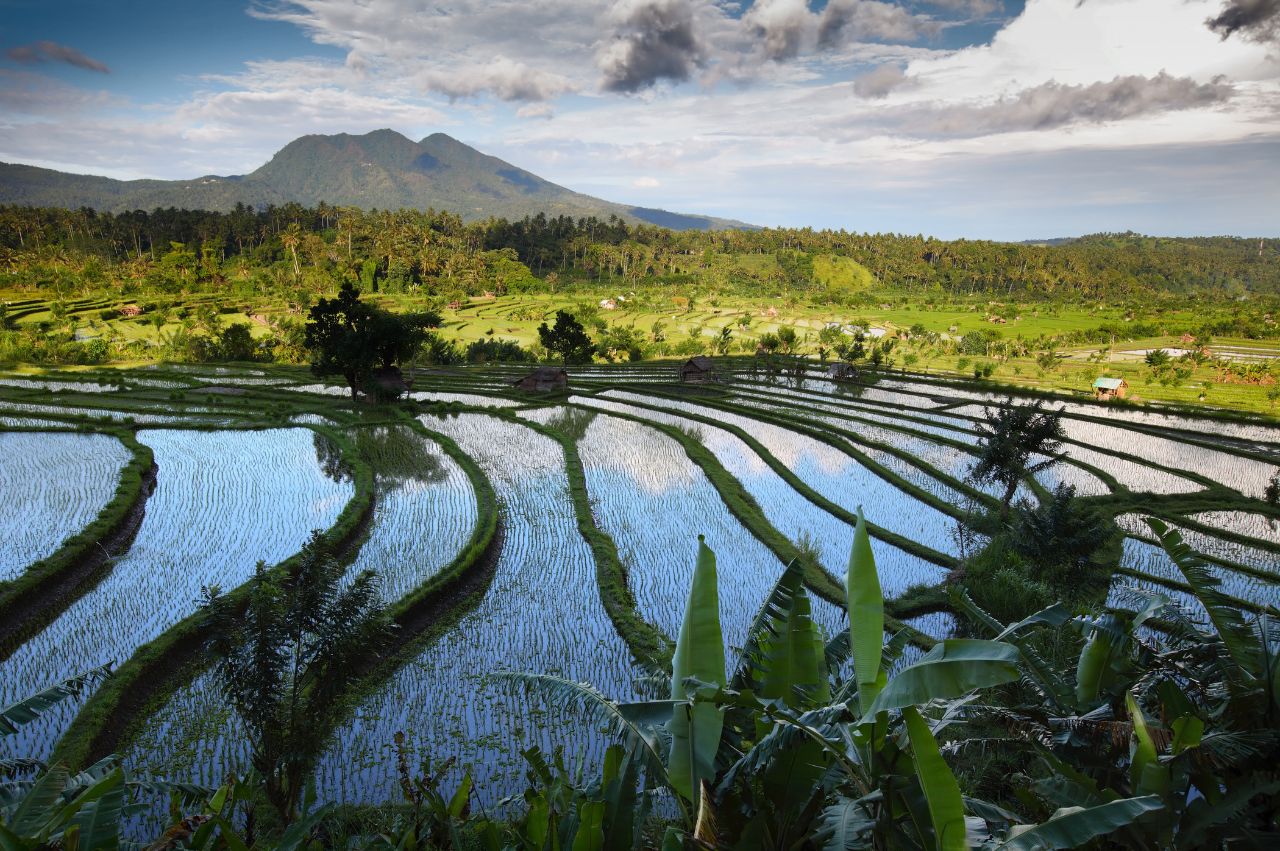 Peaceful Bali: Ubud, Sidemen Valley & Coastal Sanur - Image 6 | Sky Globals