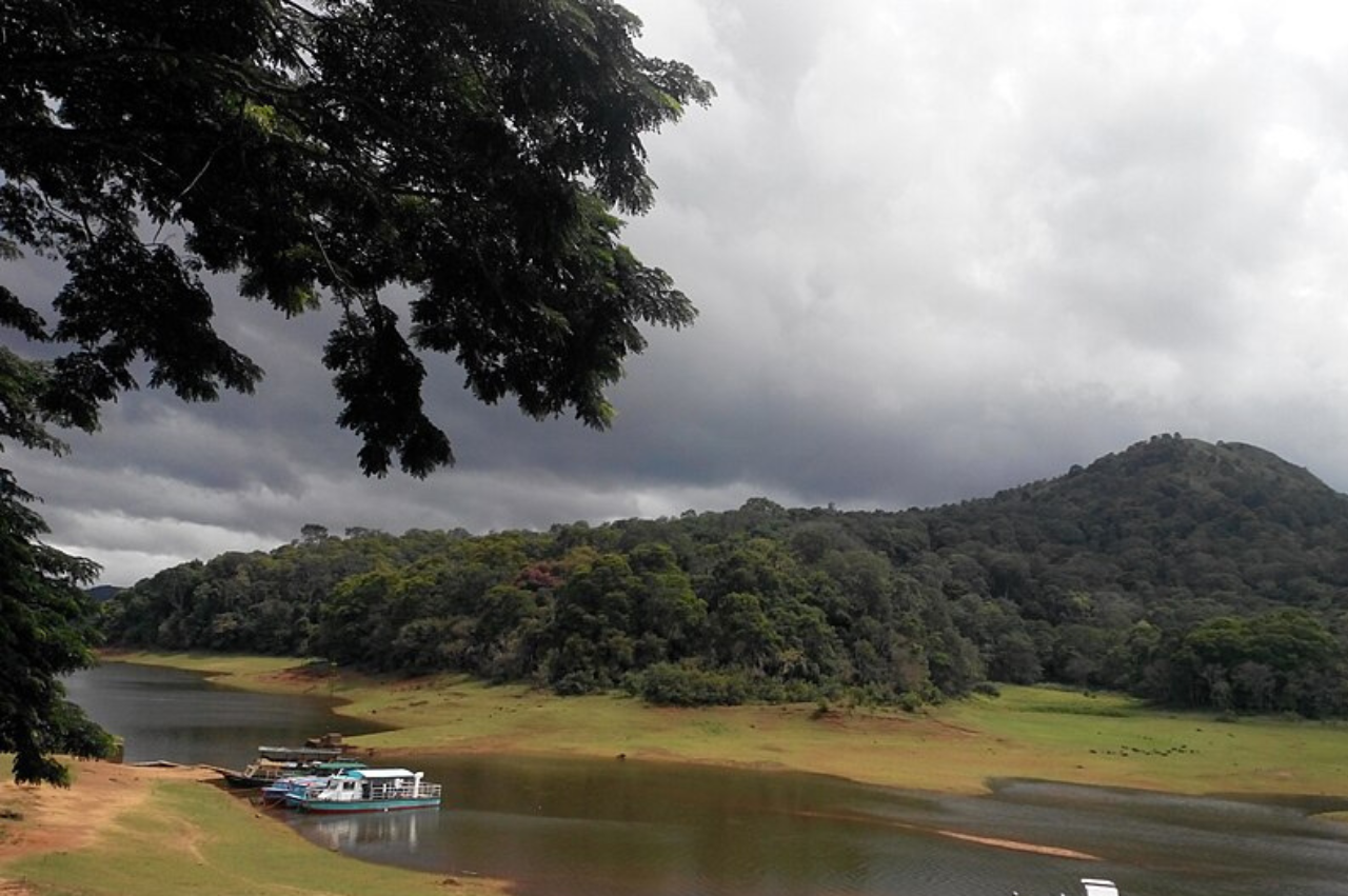 Enchanting Kerala: 5-Day Tour Package - Image 4 | Sky Globals