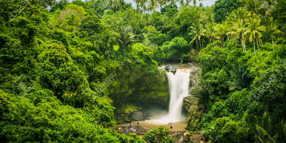 Bali 6-Day Adventure: Snorkeling & Temples - Image 4 | Sky Globals