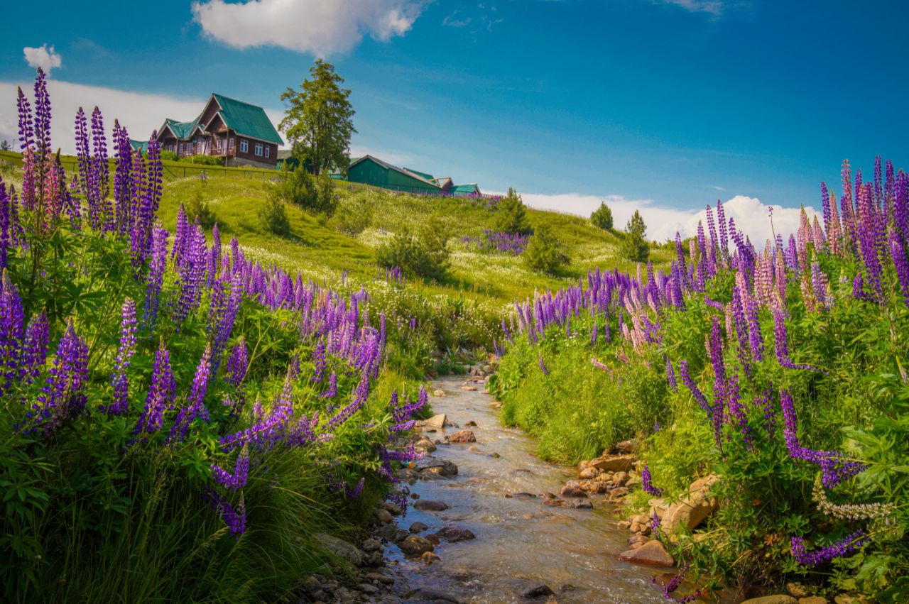 Kashmir Delight For 7-Days - Image 6 | Sky Globals