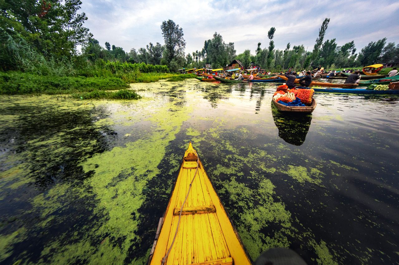 Kashmir Delight For 7-Days - Image 8 | Sky Globals