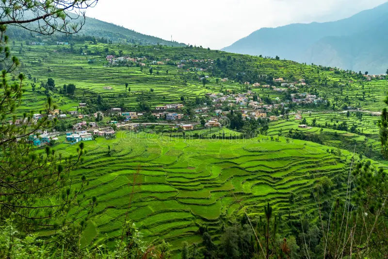 Tungnath Trek and Chamoli Tour -  Uttarakhand Tour Package | Sky Globals