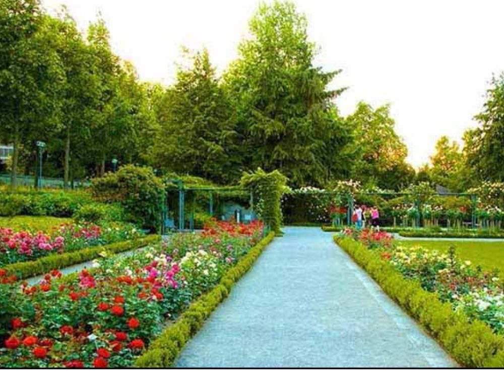 Chandigarh, Shimla & Kufri Weekend Escape - Punjab Tour Package | Sky Globals