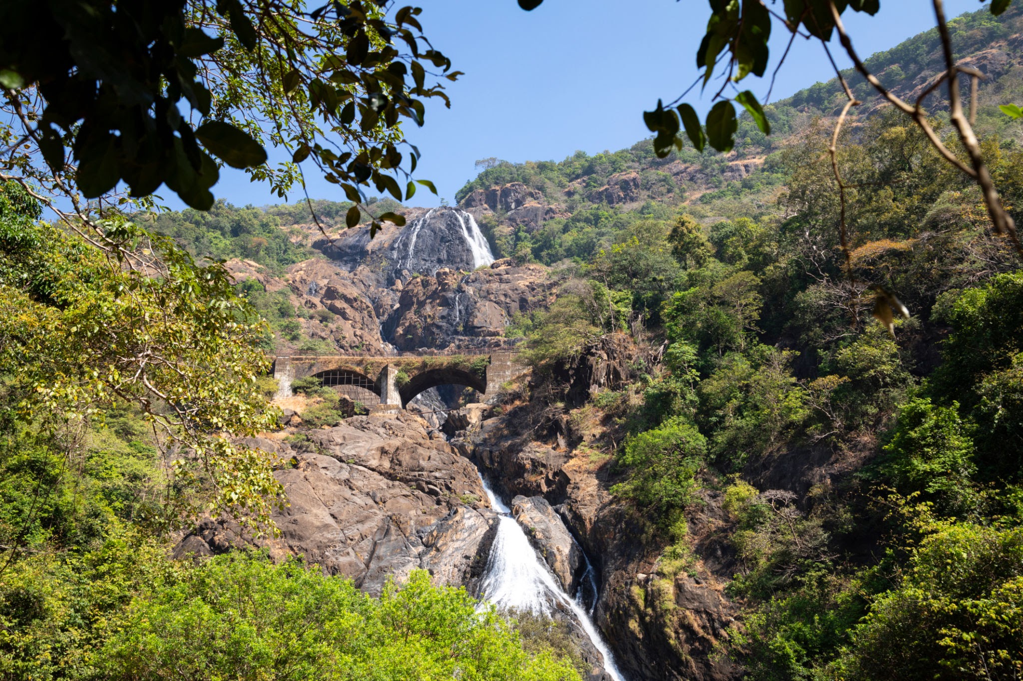 Dudhsagar Falls Monsoon Trek