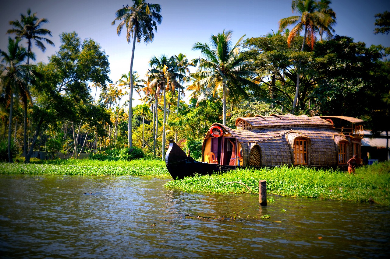 Kerala Essence: Hills, Wildlife & Backwaters - Domestic Tour Package by Sky Globals