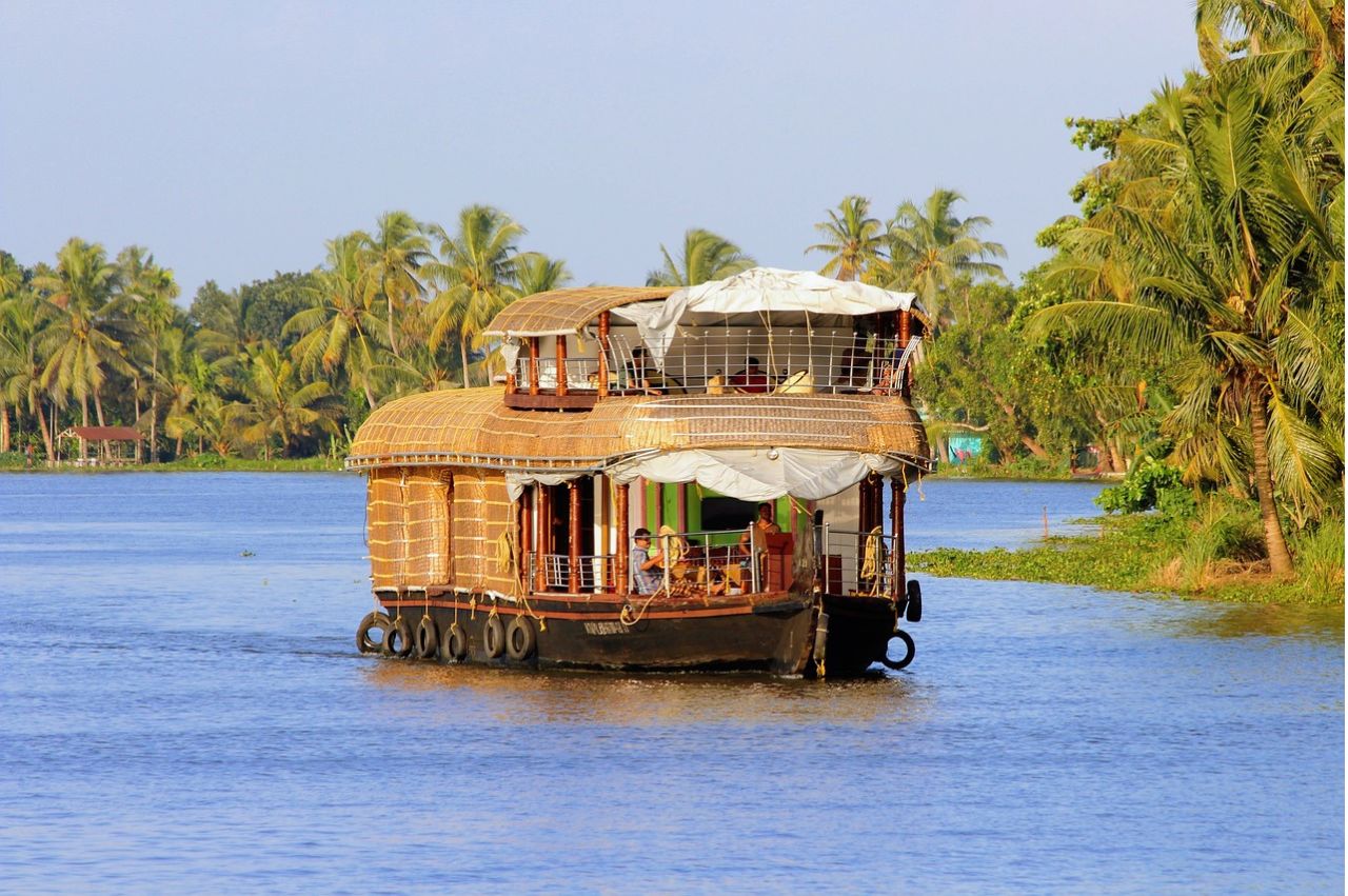 Kerala Essence: Hills, Wildlife & Backwaters - Image 9 | Sky Globals