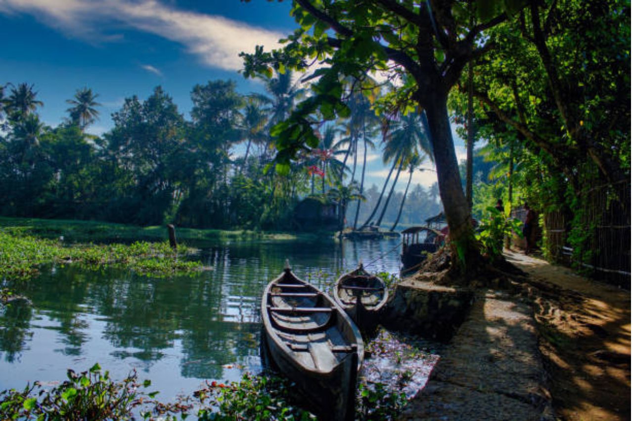 Kerala Essence: Hills, Wildlife & Backwaters - Image 6 | Sky Globals