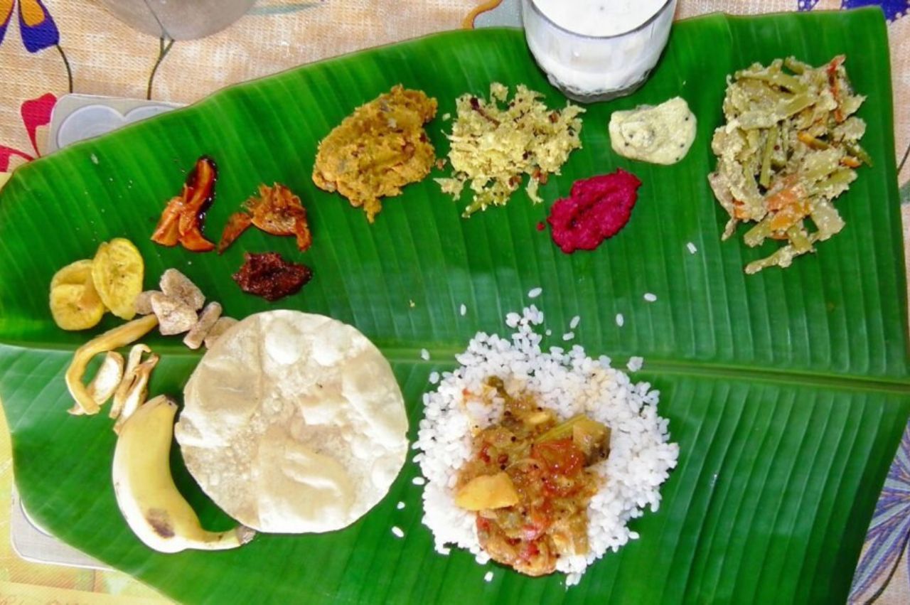 Kerala Essence: Hills, Wildlife & Backwaters - Image 5 | Sky Globals