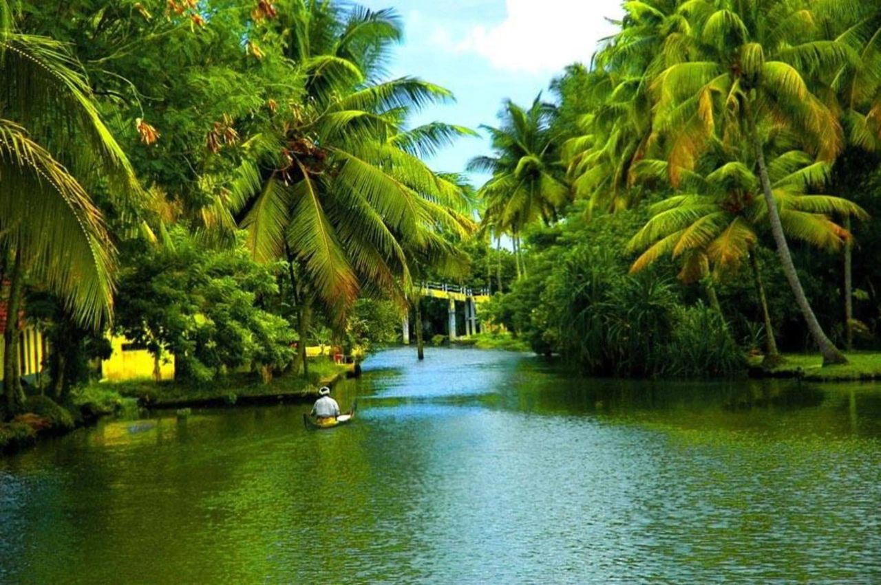 Kerala Essence: Hills, Wildlife & Backwaters - Image 3 | Sky Globals