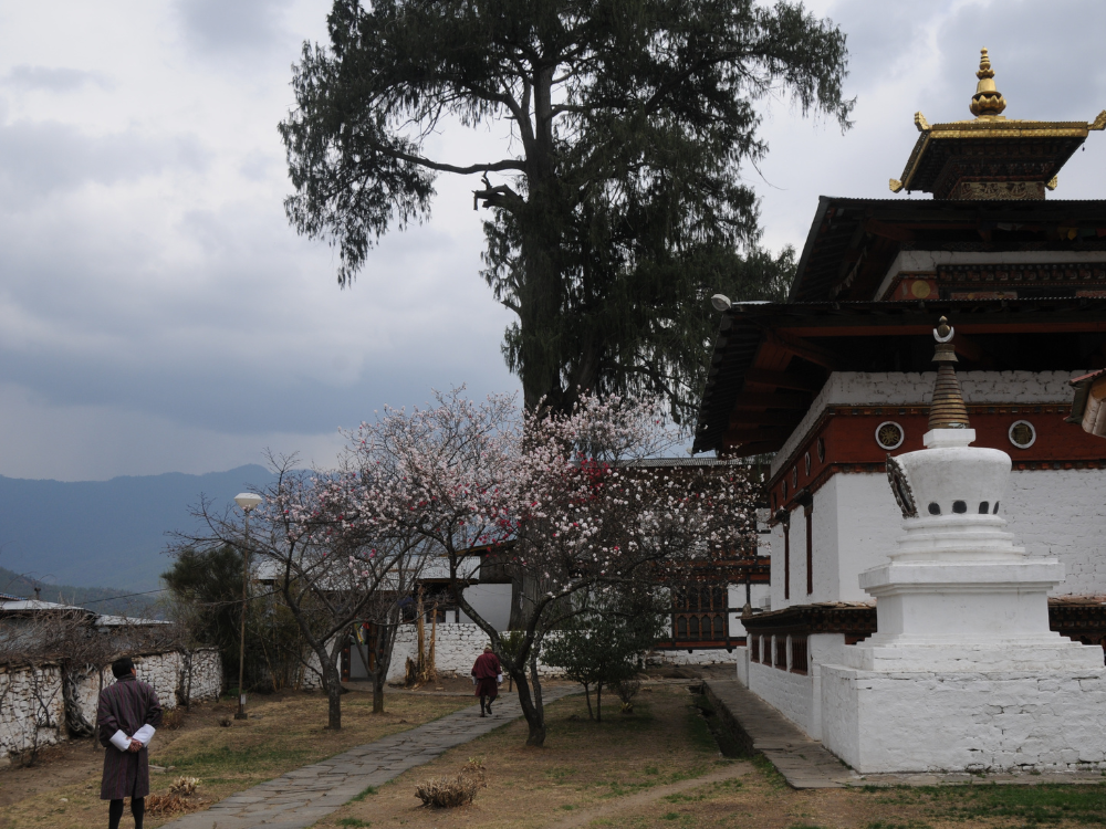 5-Day Bhutan Adventure Package for 2 Pax - International Tour Package by Sky Globals