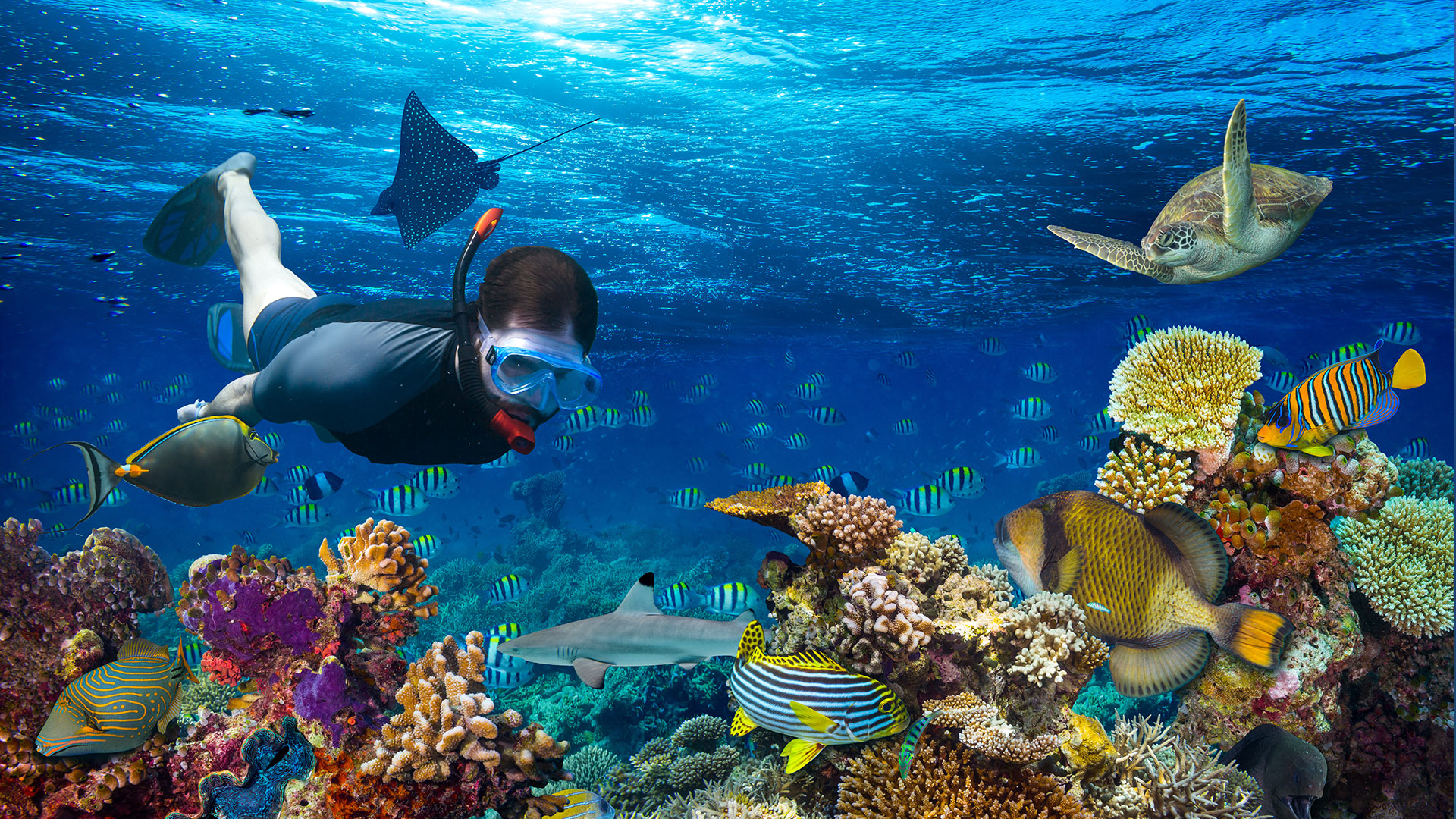 Maldives: The Turquoise Sanctuary - Image 2 | Sky Globals