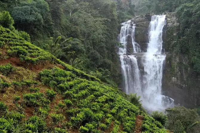 Sri Lanka Travel to Kandy, Nuwara, and Colombo - Image 7 | Sky Globals