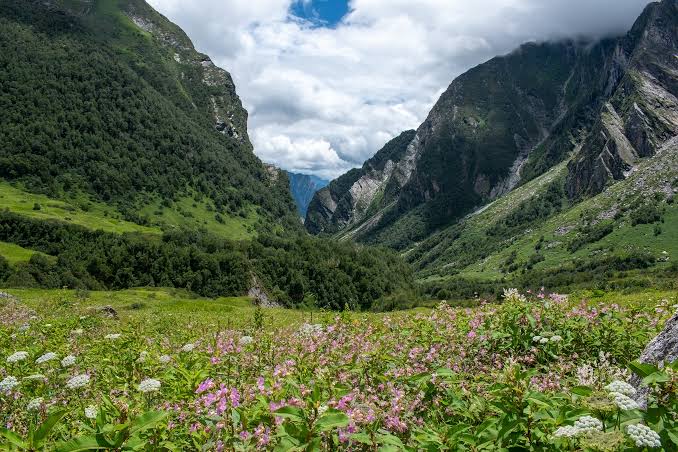 Valley of Flowers & Hemkund Sahib Trek - Image 5 | Sky Globals