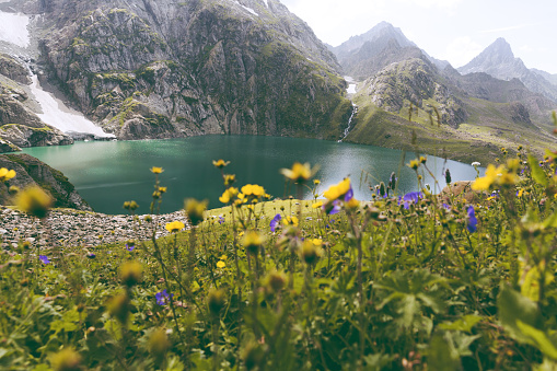 Kashmir Great Lakes Trek - Image 7 | Sky Globals