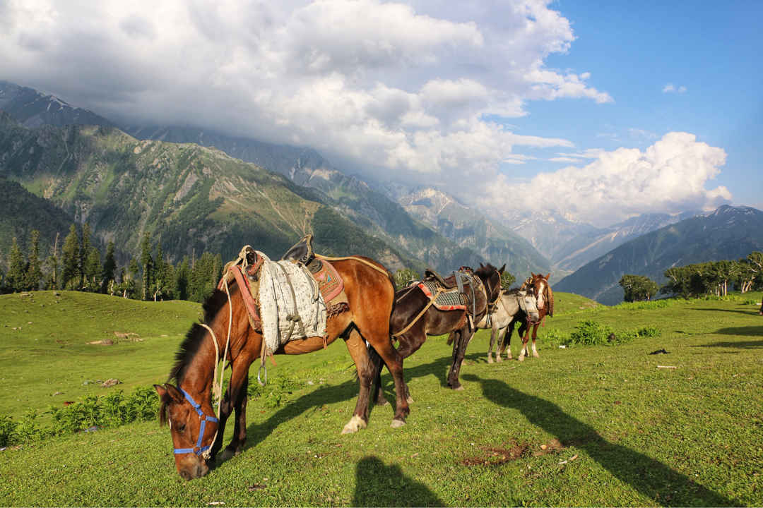 Kashmir Great Lakes Trek - Image 3 | Sky Globals