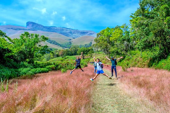 Kudremukh Peak Monsoon Trek - Image 7 | Sky Globals