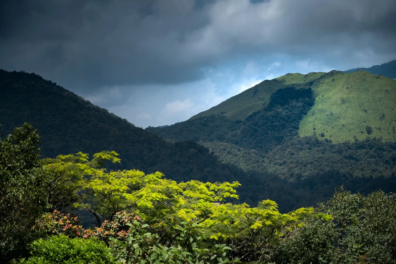 Kudremukh Peak Monsoon Trek - Image 5 | Sky Globals