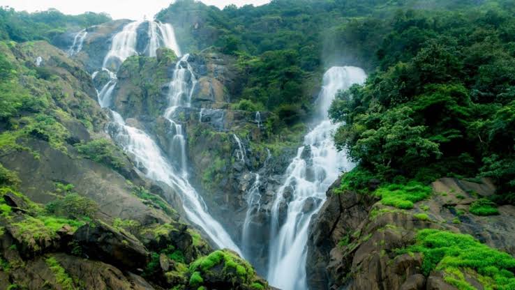 Dudhsagar Falls Monsoon Trek - Image 3 | Sky Globals
