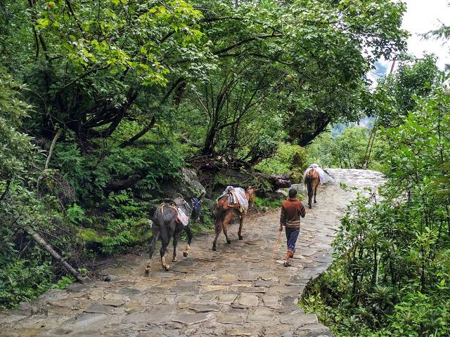 Sri Hemkund Sahib Sacred Yatra: Rishikesh Loop - Image 3 | Sky Globals