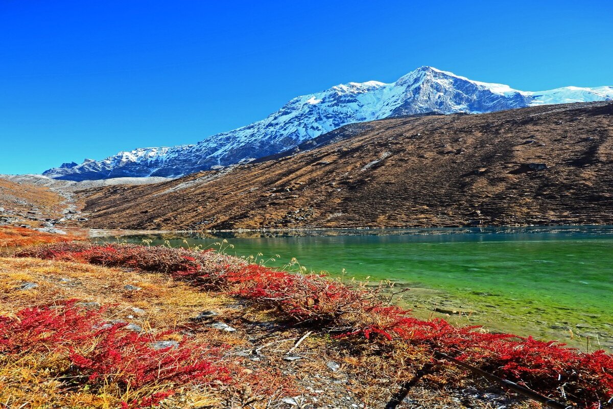 Scenic Darjeeling & Gangtok Escape - Image 6 | Sky Globals