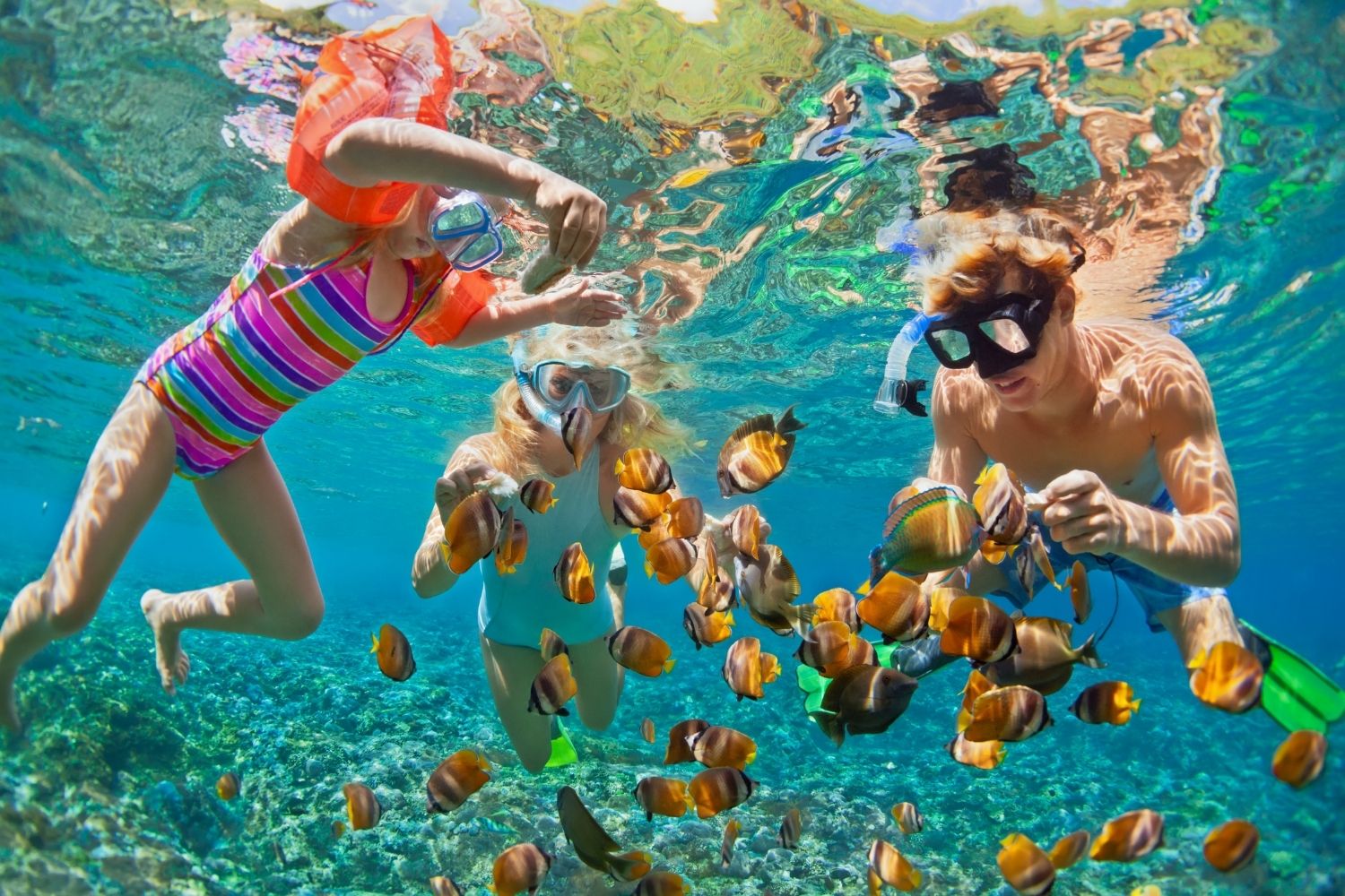 Explore Agatti Island - Image 5 | Sky Globals