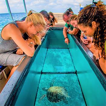 Explore Agatti Island - Image 4 | Sky Globals