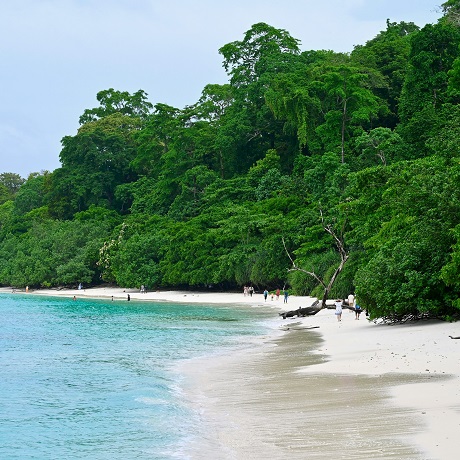 Best of Andaman: Port Blair, Havelock & Neil Island - Image 6 | Sky Globals
