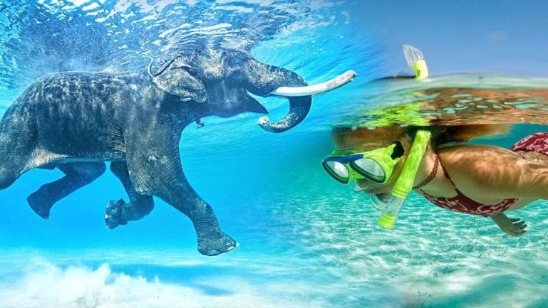 Adventure into Andaman & Nicobar - Image 2 | Sky Globals