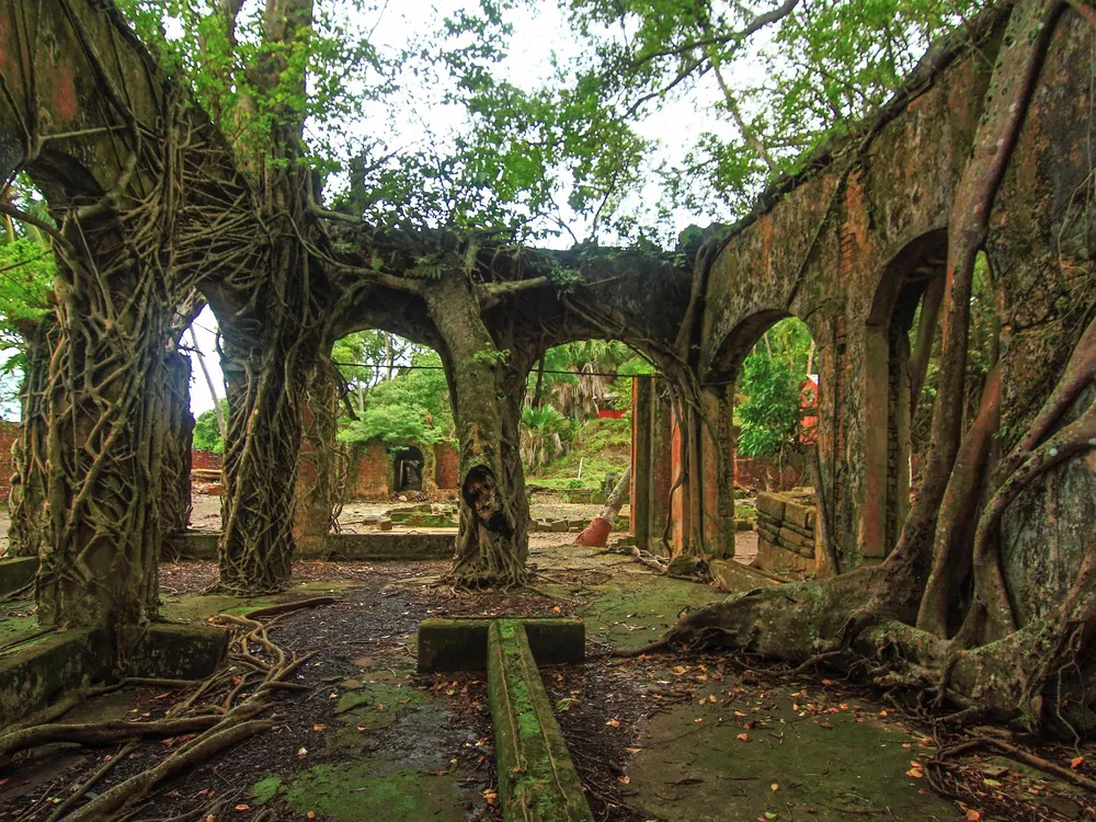 Romantic Andaman Honeymoon Package - Image 4 | Sky Globals