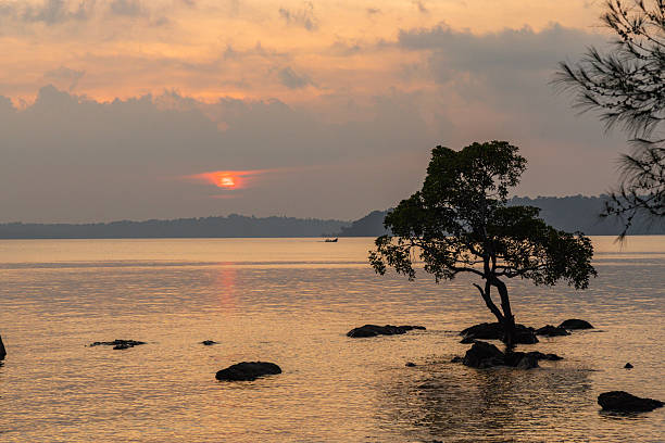 Romantic Andaman Honeymoon Package - Image 3 | Sky Globals