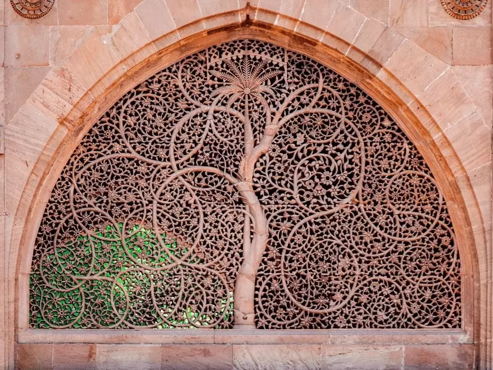 Gujarat Wildlife & UNESCO Heritage Tour - Image 3 | Sky Globals