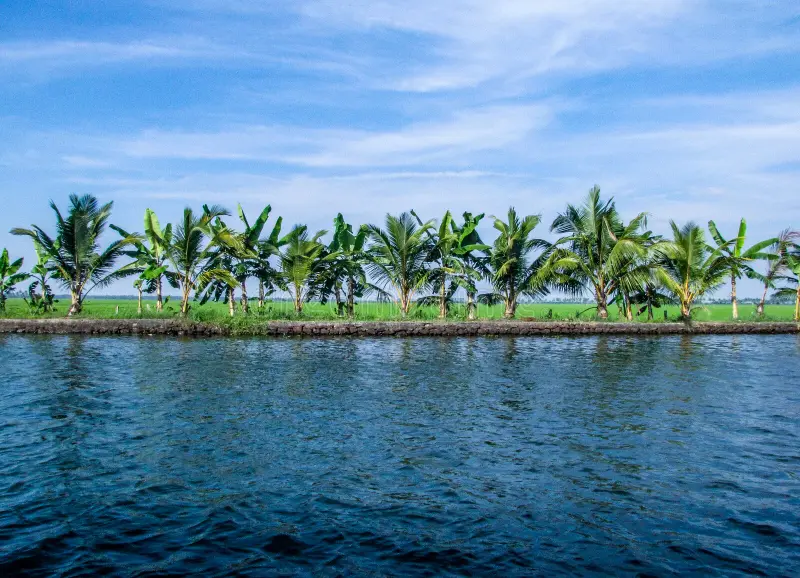 Coastal & Cultural Kerala: A Journey to Remember - Image 12 | Sky Globals
