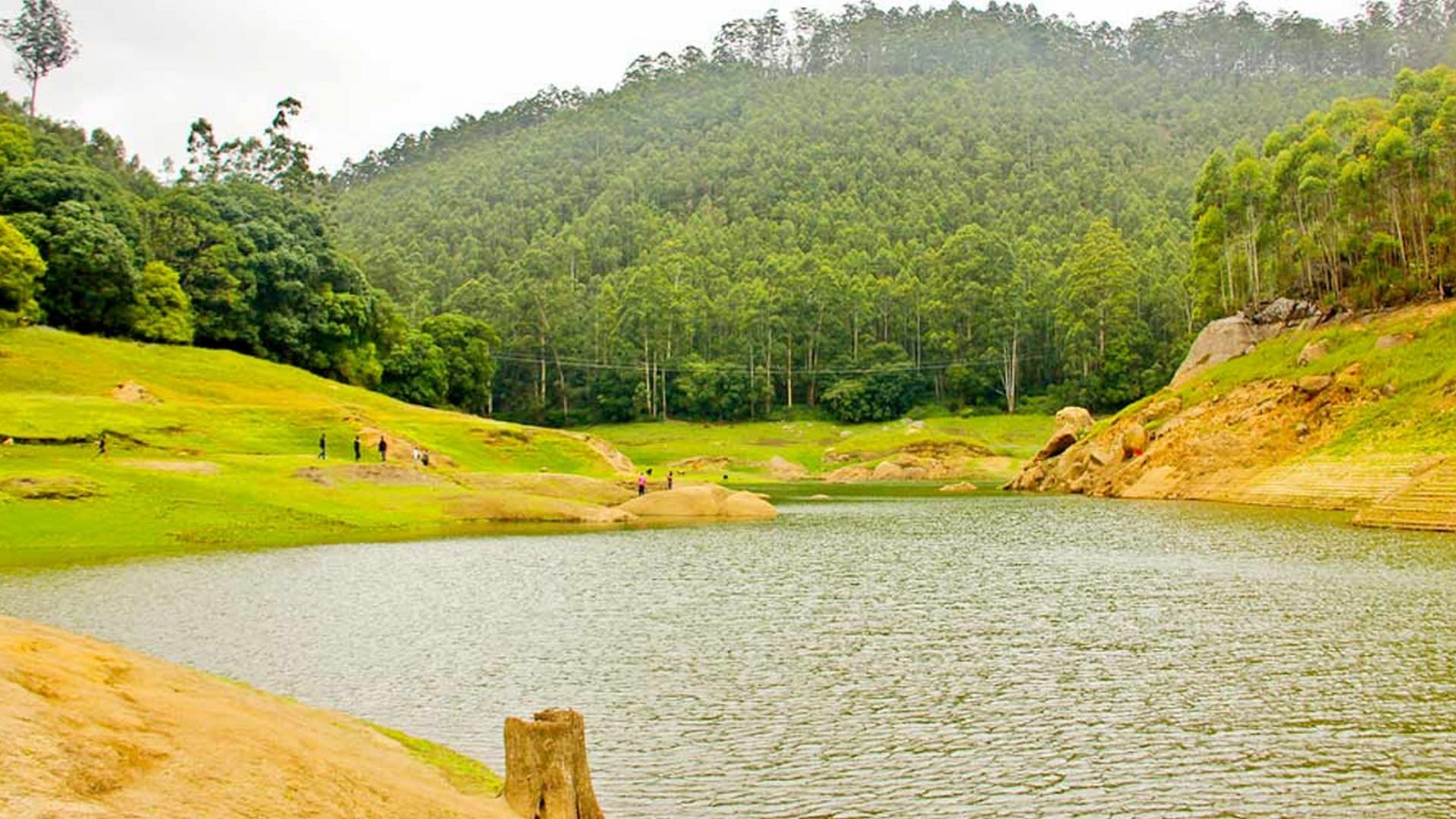 Coastal & Cultural Kerala: A Journey to Remember - Image 9 | Sky Globals