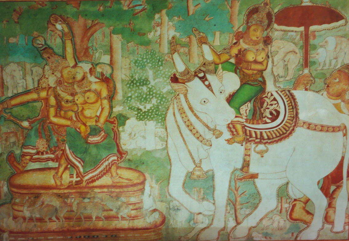 Coastal & Cultural Kerala: A Journey to Remember - Image 3 | Sky Globals